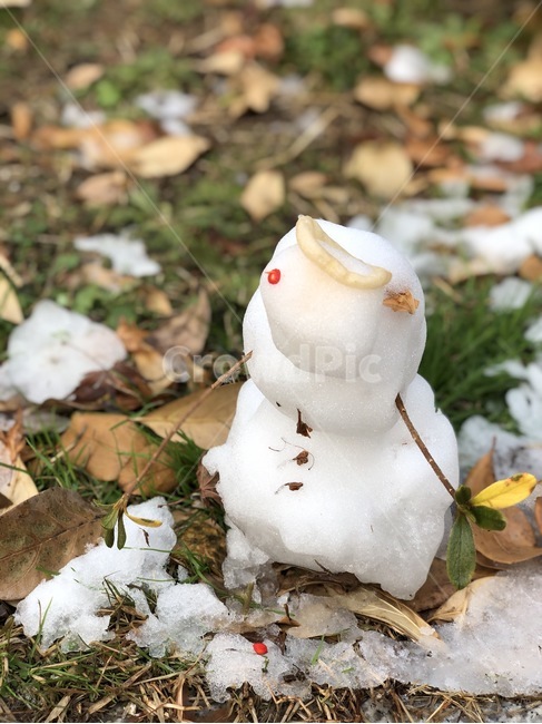 겨울,눈사람,눈,낙엽,계절,snow,snowman,겨울,계절,winter,season