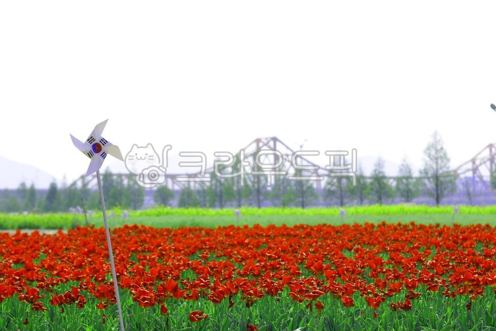 태극기,국기,철교,국경일,들판