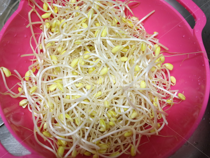 콩나물,음식,food,vagetable,야채,beansprout,바구니,음식,식재료,요리,food,cook,meal,dishes,food reserves