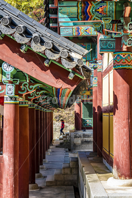 청평사,사찰,전통가옥,기와,기와지붕,문화유산,가을,단청,건축물,지붕,사람,한국전통,한국문화,korean traditional,korean culture,건축물,건물외관,exterior,building,structure,architecture,construction