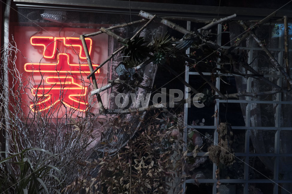 꽃집,꽃,빈티지,화원,꽃가게,flower,store,풀,풀잎,조명,네온사인,네온,밤조명,밤,옛날,예전,오래된,해진,빛바랜,바랜,기억,먼지쌓인,올드한,올드,빈티지사진,빈티지느낌,빈티지감성,vintage