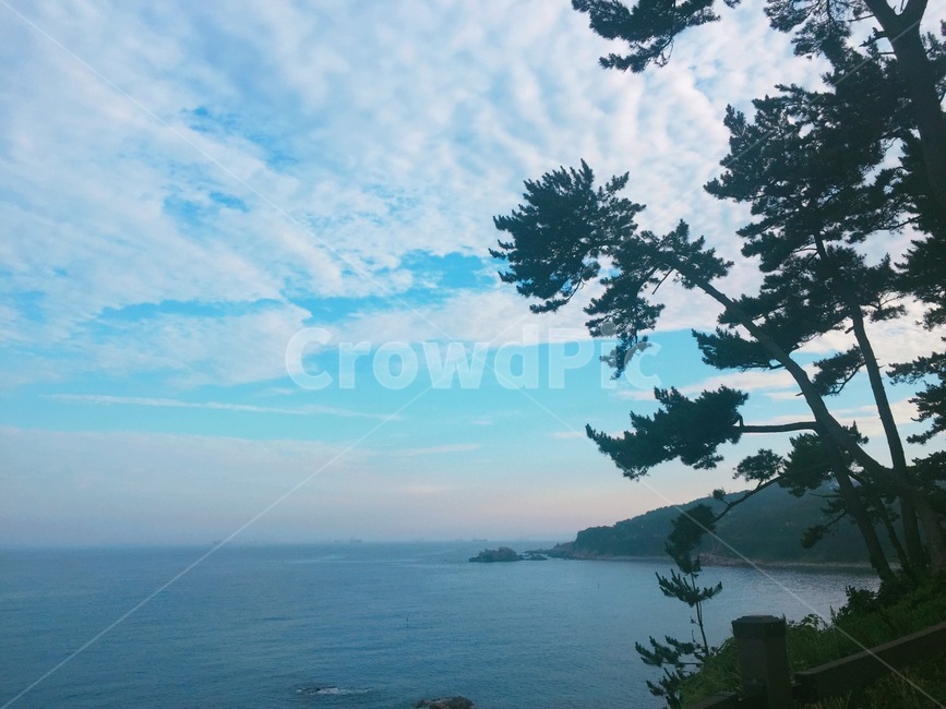 nature,자연,land,땅,outdoors,옥외,water,물,sea,ocean,대양,shoreline,해안선,tree,나무,plant,식물,울산,울산광역시,울산대왕암공원,공원,울산공원,바다,하늘,푸른바다,파란색,푸른,여름,감성,자연,풍경,nature,landscape