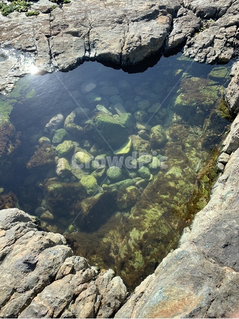 부산,바다,맑은물,깨끗한물,풍경,자연,풍경,nature,landscape,water,물,sea,ocean,대양,outdoors,옥외,sea life,해양 생물,reef,암초,animal,동물