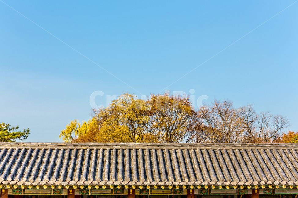 기와,선,패턴,가을,하늘,풍경,가을,계절,fall,autumn,season,한국전통,한국문화,korean traditional,korean culture,건축물,건물외관,exterior,building,structure,architecture,construction