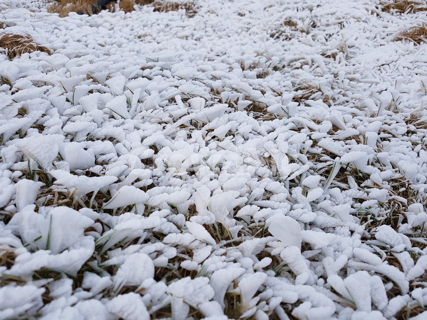 겨울,눈,흰눈,서리,한파,눈꽃,추위,고드름,흰색,겨울,계절,winter,season