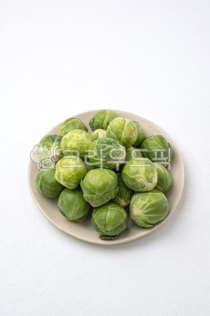 방울양배추,미니양배추,양배추,채소,야채,신선,음식,식재료,음식재료,식품,신선식품,유기농