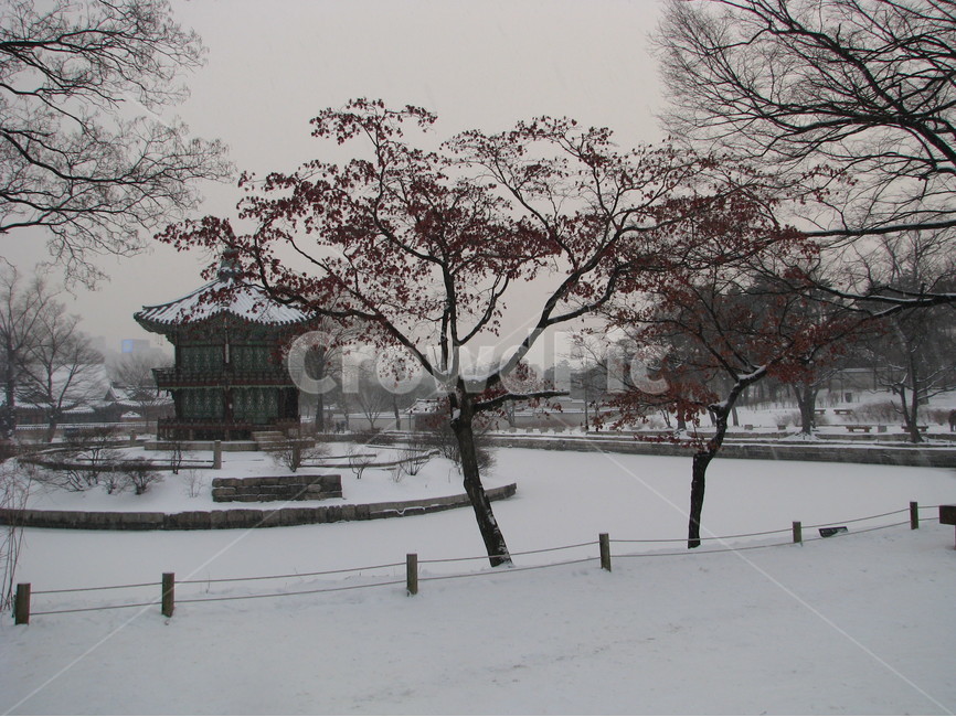 궁궐,경복궁,향원정,겨울,눈,호수,한국,대한민국,겨울,계절,winter,season,한국전통,한국문화,korean traditional,korean culture
