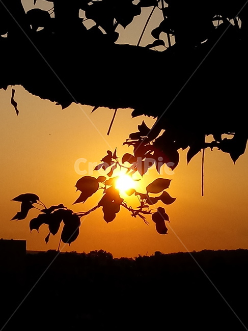 노을,석양,풍경,야경,nightscape,night,자연,outdoors,옥외,빛,붉은하늘,sunset,황혼,일몰,가을,계절,fall,autumn,season,자연,풍경,nature,landscape,sunlight,햇빛,light,flare,플레어