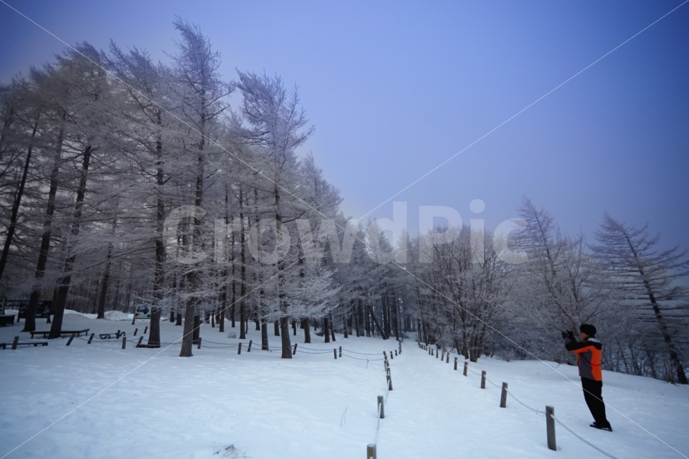 겨울,상고대,흰눈,얼음나라,사진작가,여행,함백산,강원도,자연,풍경,nature,landscape,겨울,계절,winter,season,사람,인물,인간,human,person,사진작가,포토그래퍼,photographer,tree,나무,plant,식물,outdoors,옥외
