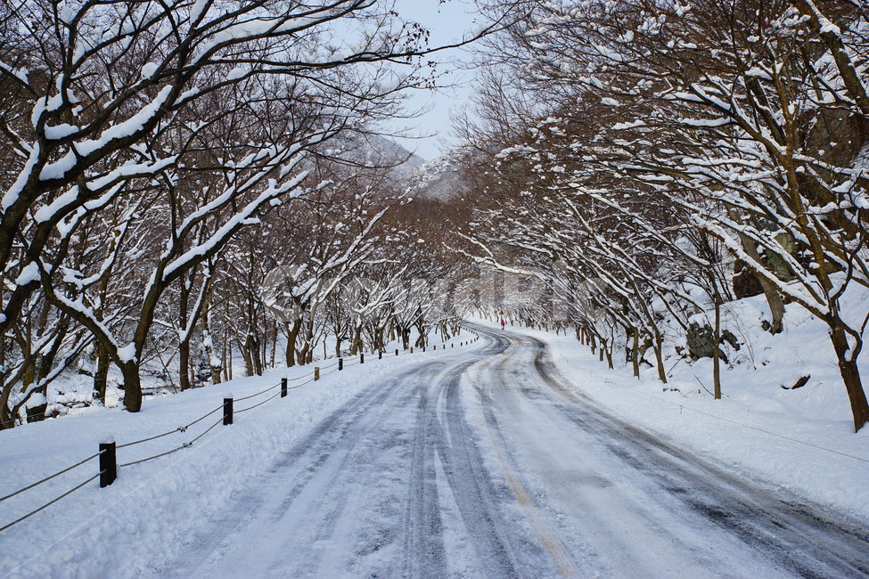 내장산,도로,설경,길,국립공원,겨울,계절,winter,season,자연,풍경,nature,landscape,outdoors,옥외