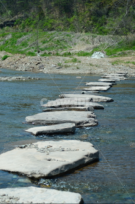 돌,냇가,돌다리,다리,강,강물,바위,시냇물,stone,stream,stonebridge,bridge,river,rock,flower,sunflower,summer,insects,bee,자연,풍경,nature,landscape