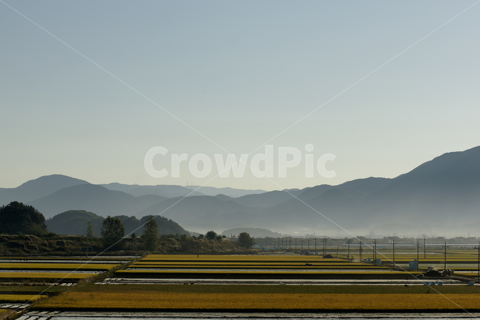 우포늪,창녕,논,아침,하늘,자연,풍경,nature,landscape,시골,마을,country,rural,town,field,들,grassland,목초지,outdoors,옥외,paddy field,패디 필드