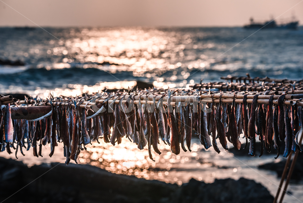 과메기,구룡포,동해,꽁치,거조,바다,술안주,안주,아침,해안,해변,파도,특산물,포항,해풍,신선,해산물,수산물,요리,겨울,sea,food,해변,바다,beach,sea,음식,식재료,요리,food,cook,meal,dishes,food reserves,수산물,해산물,fishery products,seafood