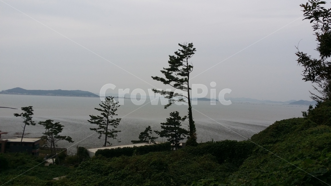 강화도,바다,물,나무,언덕,tree,sea,water