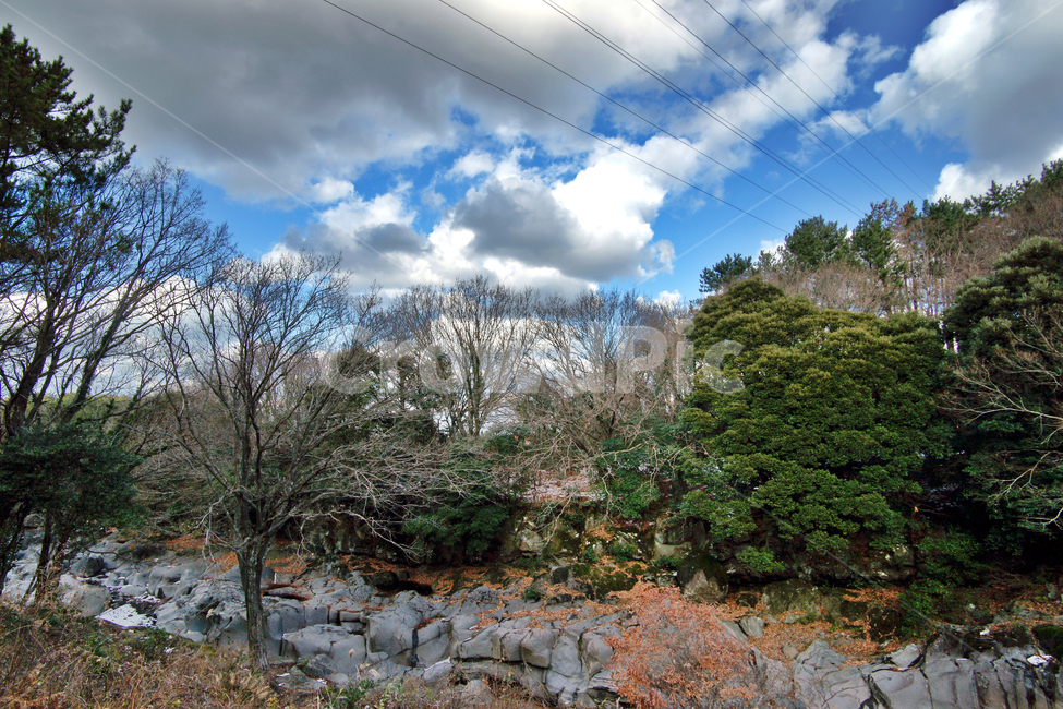 한천계곡,제주,오라올레,트레일,계곡,숲,자연,푸른하늘,자연,풍경,nature,landscape,제주도,jeju,jeju island