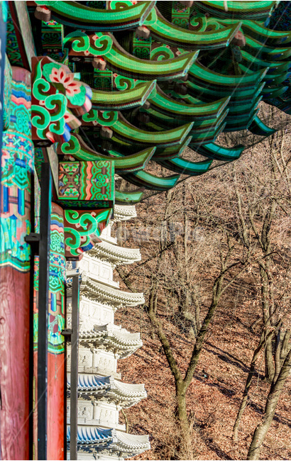 선,탑,단청,사찰,패턴,전통,한국전통,한국문화,korean traditional,korean culture,건축물,건물외관,exterior,building,structure,architecture,construction