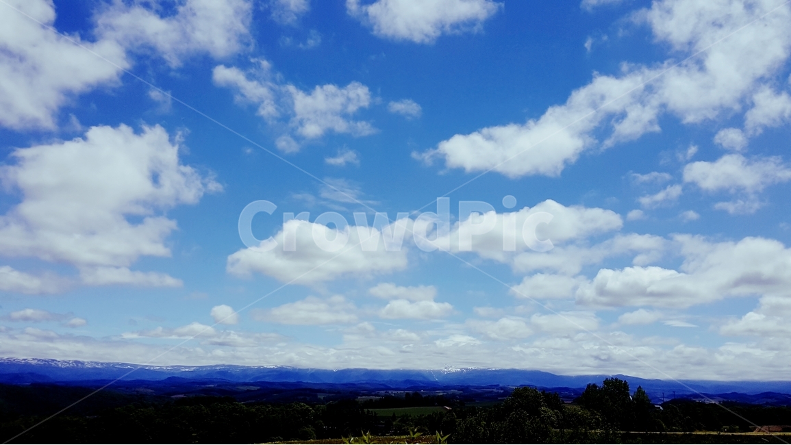 삿포르,삿뽀르,홋카이도,마일드세븐언덕,세븐스타언덕,비에이,일본,일본여행,자연,경관,비경,배경사진,구름,나무,자연,풍경,nature,landscape,해외,외국,세계,foreign,oversea,world,세계자연풍경,해외자연풍경,외국자연풍경,world nature landscape,outdoors,옥외,sky,하늘,azure sky,푸른 하늘