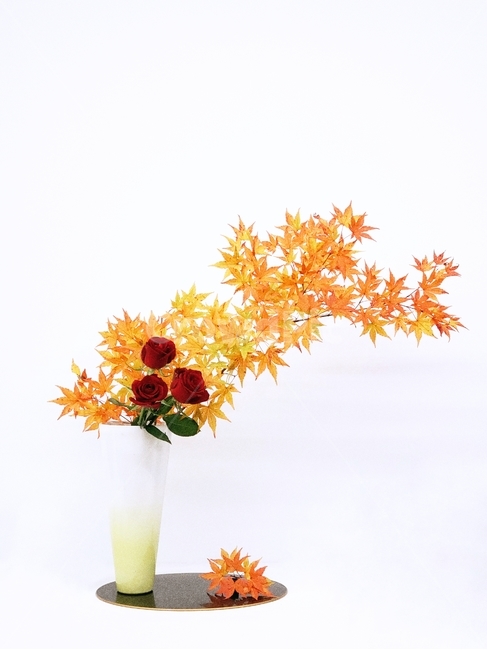 장미,단풍,꽃꽂이,꽃,flower,식물,plant