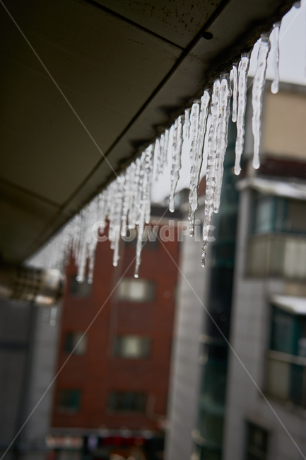 고드름,겨울,입춘,꽃샘추위,얼음,cold,감성,nature,자연,winter,건물,건축,도시,도심,building,city,풍경,빈티지,vintage,겨울,계절,winter,season