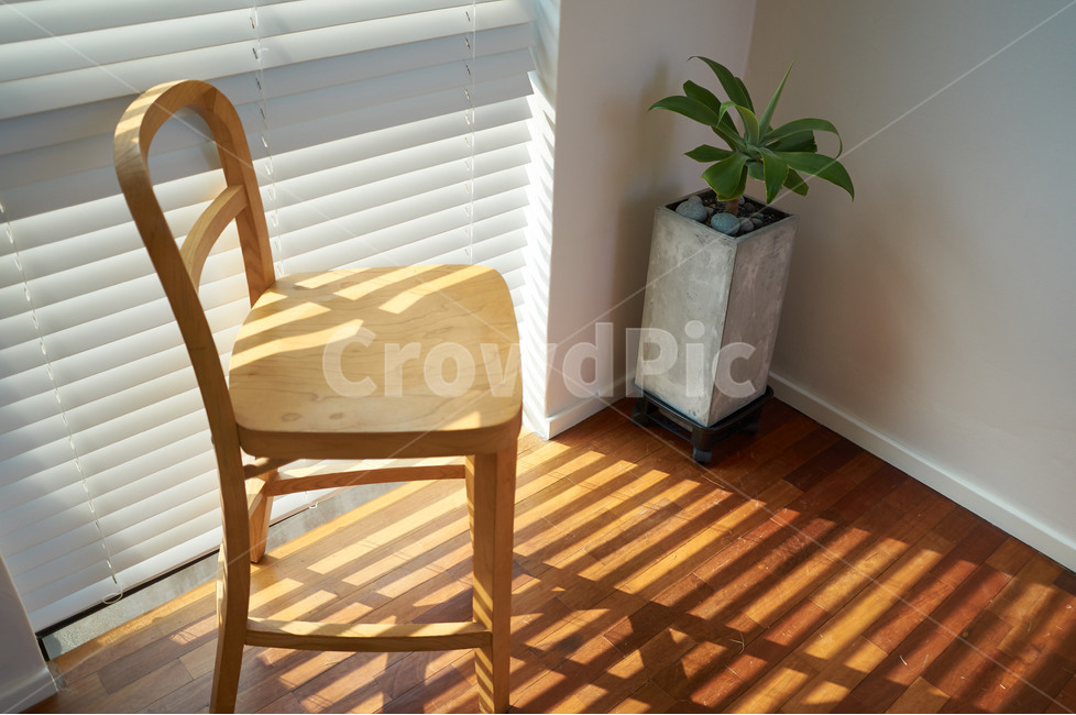 의자,실내,화분,빛,창가,인테리어,소품,인테리어,실내디자인,interior design