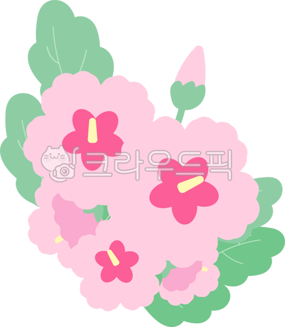 Flower,Rose of Sharon,Chrysanthemum,Flower png,Rose of Sharon png,June,Memorial Day,National Veterans Day,Armed Forces Day,Flower decoration,Rose of Sharon decoration,Pink,National Memorial Day,National Day