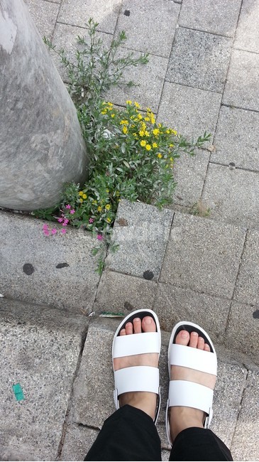 잡초,길가,꽃,길,산책,발,weed,foot,walk,road,way,flower,roadside