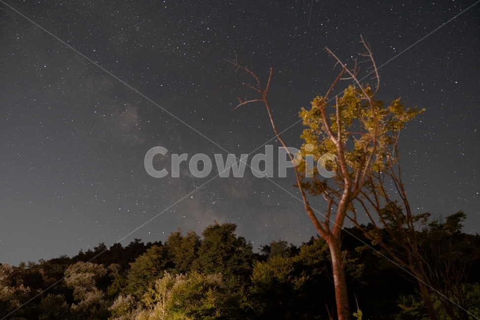 별,은하수,밤,야경,밤풍경,야간,자연,여름밤,자연,풍경,nature,landscape,야경,밤,nightscape,night,outdoors,옥외