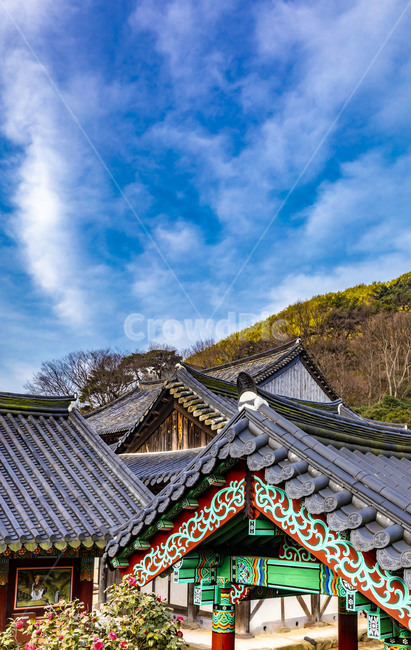 화엄사,문화유산,사찰,인간,봄,기와,풍경,지붕,roof,하늘,전통건축물,한옥