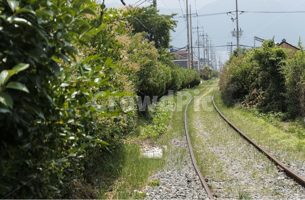 철길,풍경,레일,landscape,railroad,rail,tree,기찻길