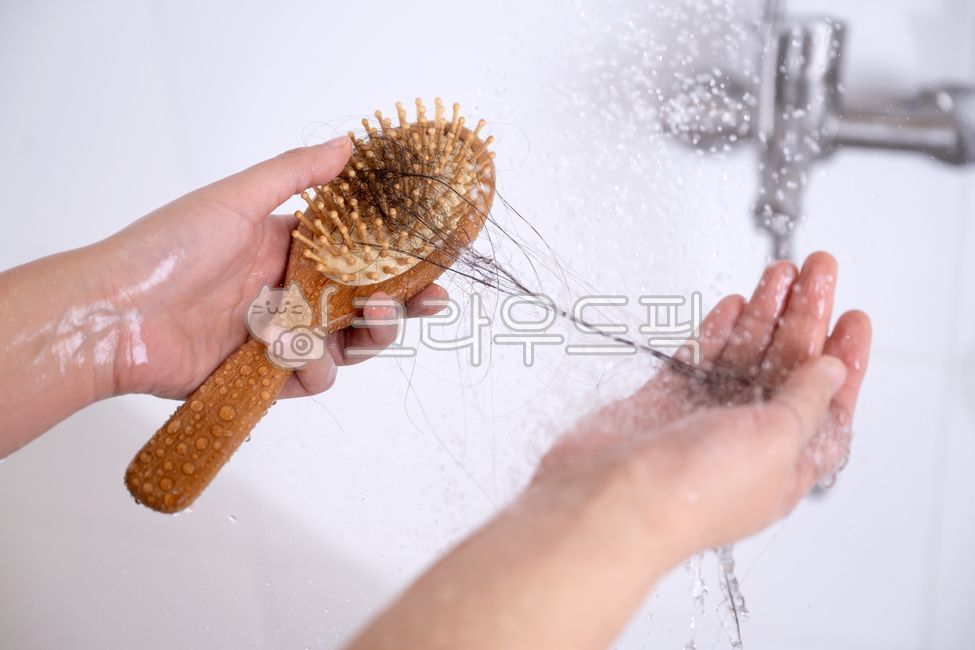탈모,탈모증,빗,걸려있는,환절기,환자,여성,충격,여자,스트레스,머리카락,머리,빠진,빠지는,보여주는,보여주다,물방울,튀는,튀기는,물,욕실,샤워,샤워실,수도꼭지,샤워기,수전,손,화이트,하얀,흰색,질병,클리닉,관리,신체,손에,쥐고있는,쥐다,들고있는,뷰티,의료,치료,우울,의학,위축,주눅,엉킨,엉킴,괴로운,손상,고통,컨셉,아웃포커스,걱정,근심,문제,상실