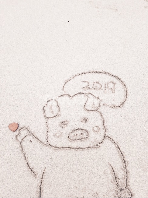 새해인사,happynewyear,해변낙서,2019년새해인사,돼지의해,기해년인사,2019년인사,바닷가낙서,모래글씨,해변글씨,돼지,해변,바다,beach,sea
