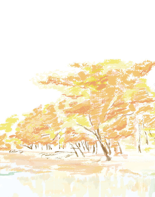 가을,일러스트,나무,풍경,호수,물,공원,색연필,드로잉,illrust,illrustration,가을,계절,fall,autumn,season,그래픽,일러스트레이션,graphic,illustration