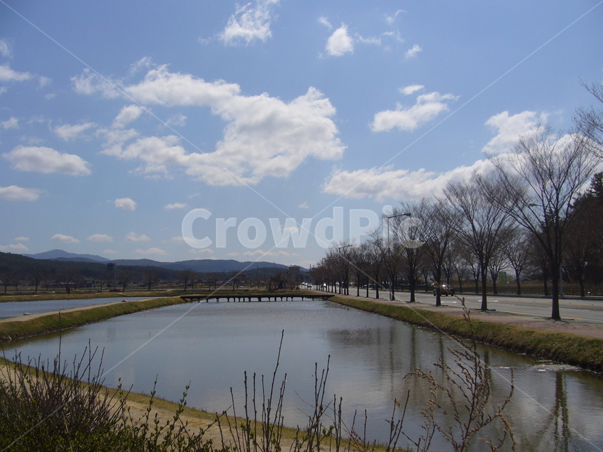 하늘,나무,도로,구름,물,sky,blue,tree,cloud,water,경주,gyeongju,자연,풍경,nature,landscape,outdoors,옥외