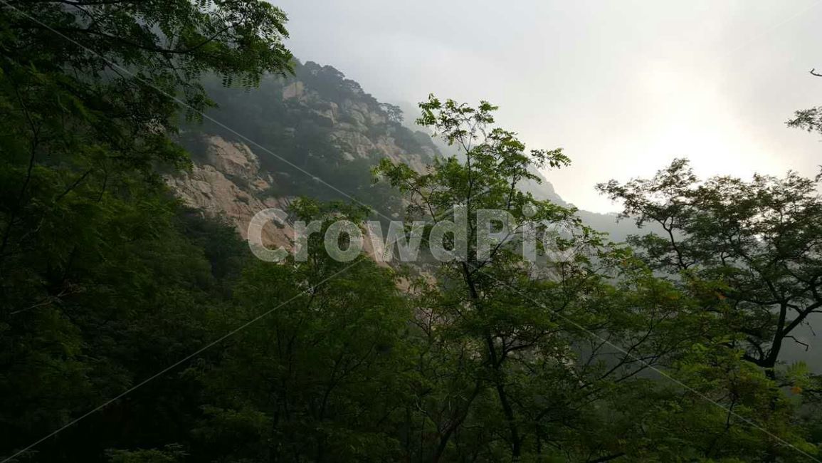태산,풍경,자연,산,아침