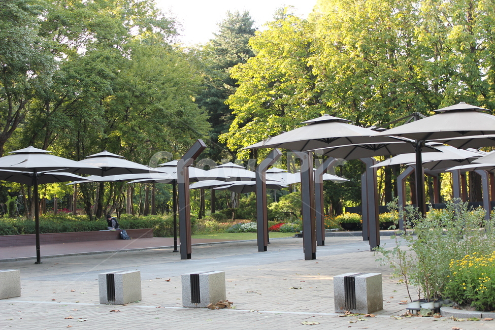 patio,안마당,porch,페르골라,pergola