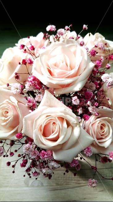 꽃,꽃부케,식물,plant,blossom,꽃다발,장미,장미꽃