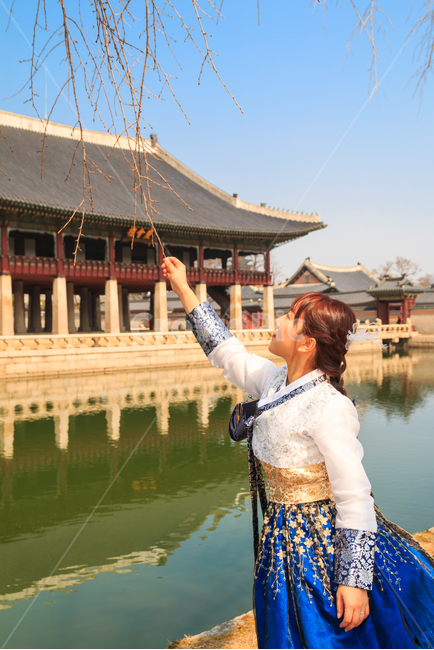 경복궁,경회루,한복,여성,패션,전통,복장,의복,비단,실크,연못,궁전,궁궐,문화,문화유산,유적,풍경,경치,봄,나뭇가지,고운,자태,아름다운,우아한,건물,건축,기와,기와지붕,고궁,한국전통,한국문화,korean traditional,korean culture,한복,한국전통의상,hanbok,korean traditional clothes,랜드마크,landmark,tourist attraction,한국랜드마크,한국관광지,한국명소,korea landmark,korea tourist attraction,사람,인물,인간,human,person,여성,여자,woman,female,lady