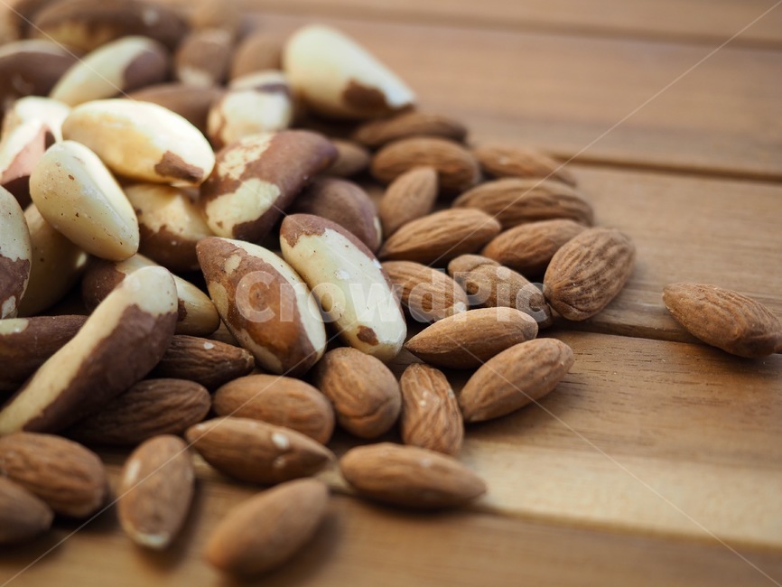 브라질너트,견과류,웰빙,음식,갈색,유기농,brazilnut,nuts,wellbeing,food,brown,organic,아몬드,너트,almond,nut,콩류,견과류,beans,pulse,nuts,dry fruits