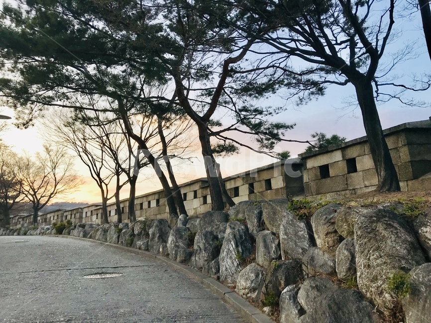 꽃,풍경,나무,성곽,산책,산,해질녘,저녁,하늘,한국전통,한국문화,korean traditional,korean culture
