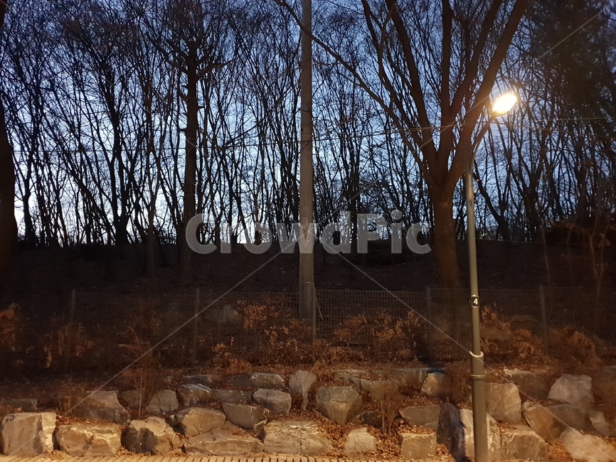 sky,하늘,블루,빛,night,자연,풍경,nature,landscape,ground,바닥