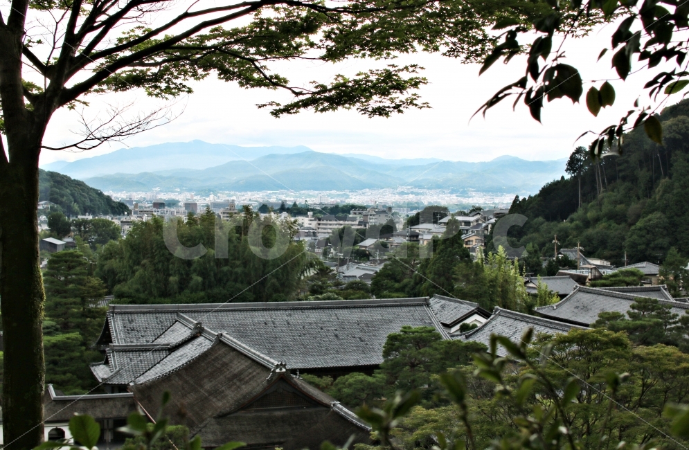 풍경,야경,도시,일본,여름,봄,겨울,가을,감성,이미지,도시,풍경,city,landscape,해외,외국,세계,foreign,oversea,world,roof,지붕,outdoors,옥외