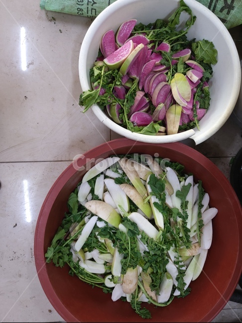 식물,plant,무,알타리,적색,음식,식재료,요리,food,cook,meal,dishes,food reserves