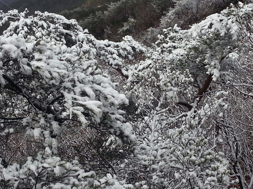 눈,눈꽃,설경,설산,겨울산,겨울,계절,winter,season,자연,풍경,nature,landscape