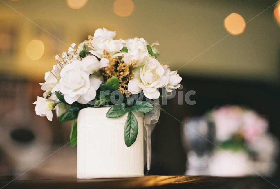 white flower,pot,white flower pot,flower,office flower pot