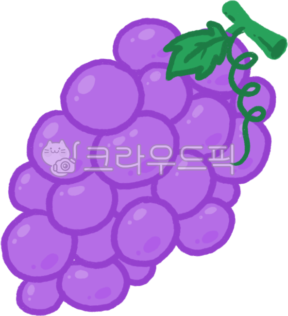 손그림,일러스트,그림,과일,과채,음식,food,grapes,포도