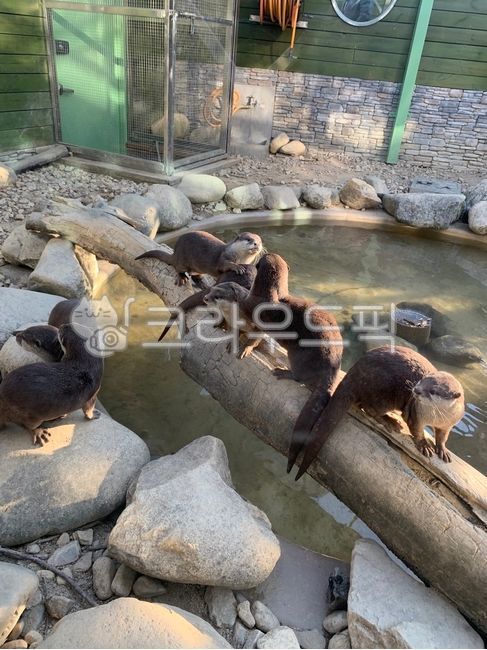 동물,zoo,동물원,animal,소풍,나들이