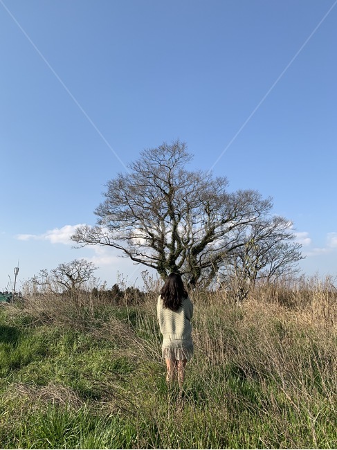 성이시돌목장,나무,왕따나무,외톨이,나홀로,tree,제주도,jeju,풍경,scenery,휴양,제주,nature,자연,outdoors,옥외,목초지,grassland,대초원,human,인간,person,들,savanna,사람,field,wonan,girl,alone,여자,뒷모습,jejuisland,farm,greenland,ranch