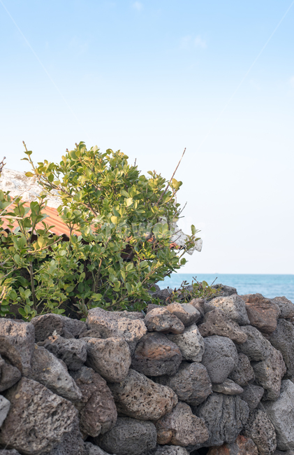 sky,Jeju Stone Wall,ocean,jeju island,Jeju traditional house