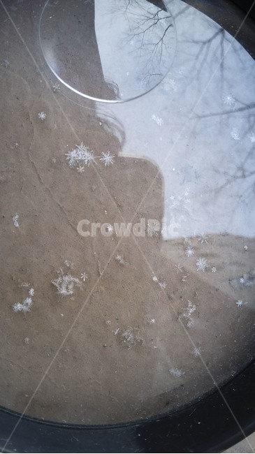 눈,눈결정,겨울,nature,자연,snow,snowcrystal