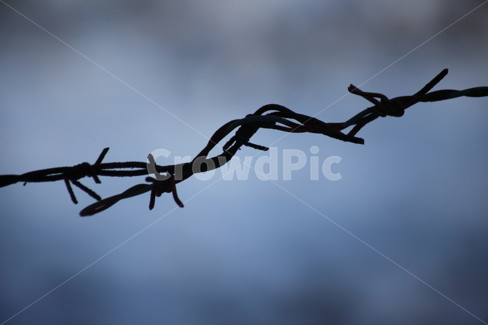 철조망,단절,철,iron,barbedwire